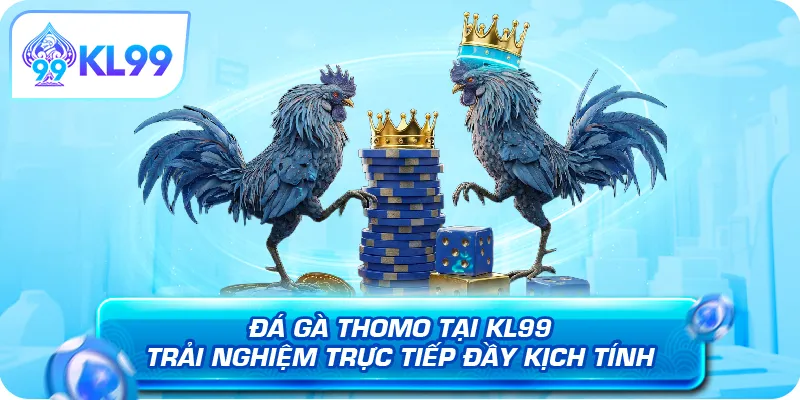 Đá Gà Thomo Tại KL99 – Trải Nghiệm Trực Tiếp Đầy Kịch Tính