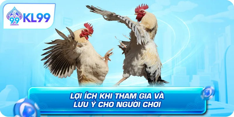 Lợi ích khi tham gia và lưu ý cho người chơi