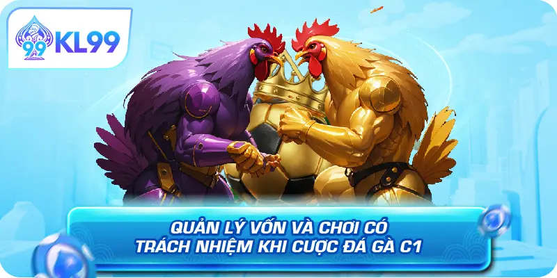 Quản lý vốn và chơi có trách nhiệm khi cược đá gà C1
